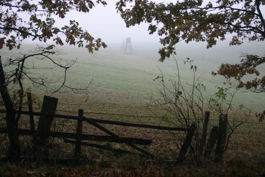 It's going to be autumn...