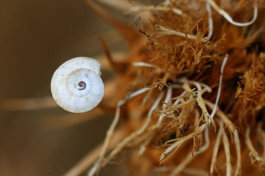 A lot of things don't grow in the barren,parched landscape,but every now and then you discover something beautiful.