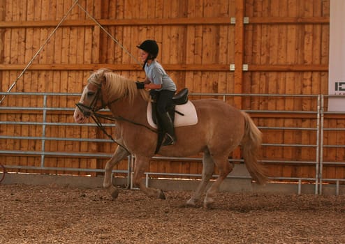 Equestrian lessons