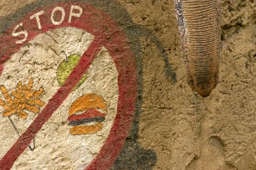 Feeding prohibited