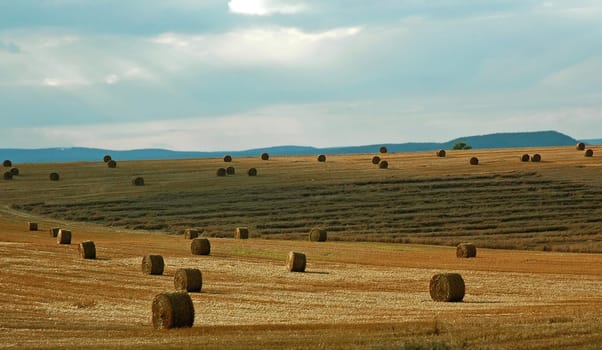 Taken while driving through the Eifel.