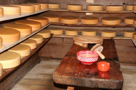 Cheese making