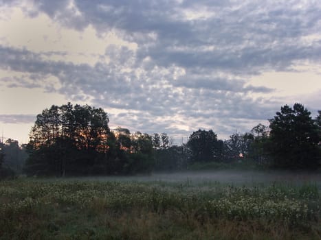 Morning mist