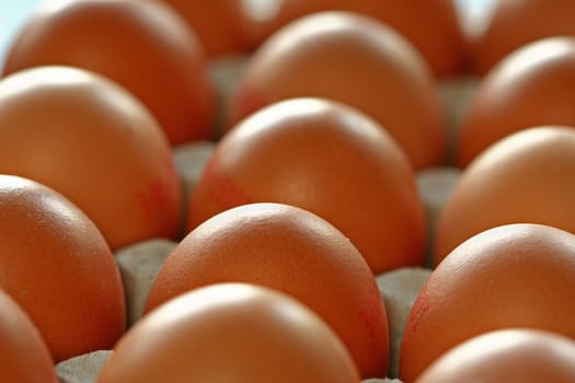 Eggs