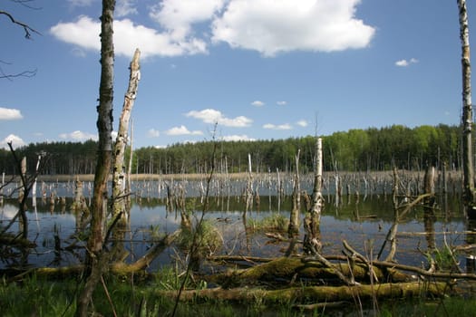 Müritz National Park