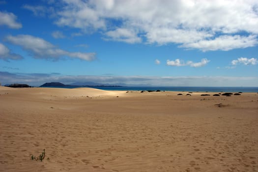 On the shifting dune in the north of Fuerteventura with a view of Lobos (small island on the left) and Lanzarote in the background