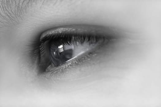 Eye