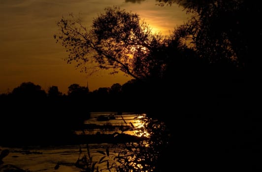 The nature reserve "Unterer Neckar"" goes to sleep and the sun lets you get into the mood again as a farewell."