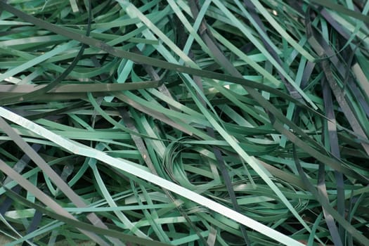 Packaging waste