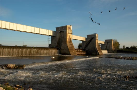 the Canada geese set off for their night quarters. This old weir separates the navigable Neckar from the Neckar Canal and the Altneckar,which is part of a very beautiful nature reserve "Lower Neckar""."