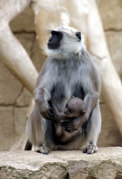 Hulman mother with baby
