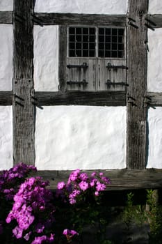 Half-timbered flowers