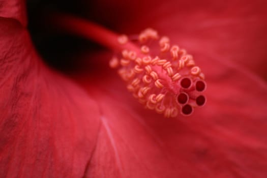 Just red
