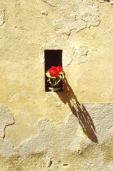 Window in Eguisheim in Alsace