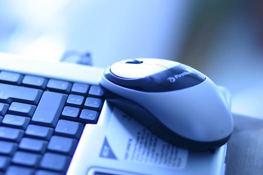 Computer and mouse