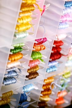 Beautiful colors