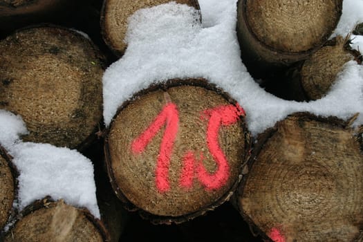 Woodpile in the snow