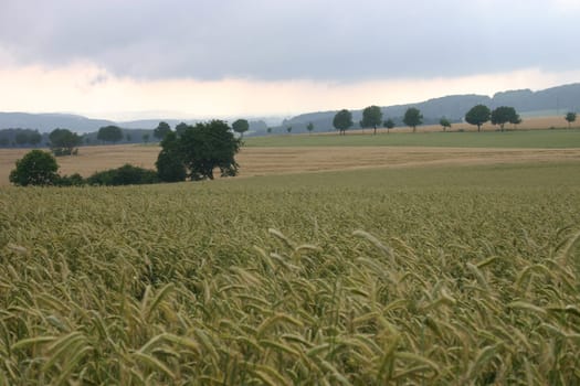 Cultural landscape