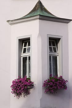 Window