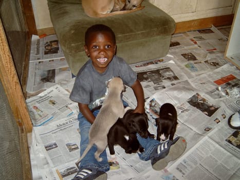 Baby dogs