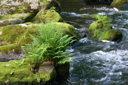 Bodetal (Harz)