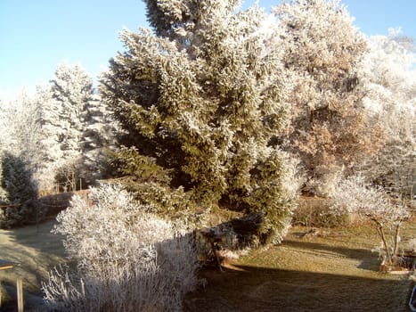 Hoarfrost