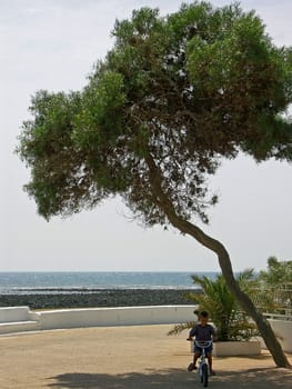 Waterfront
