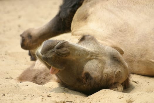 so thirsty....