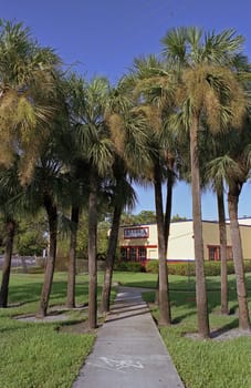 In Florida