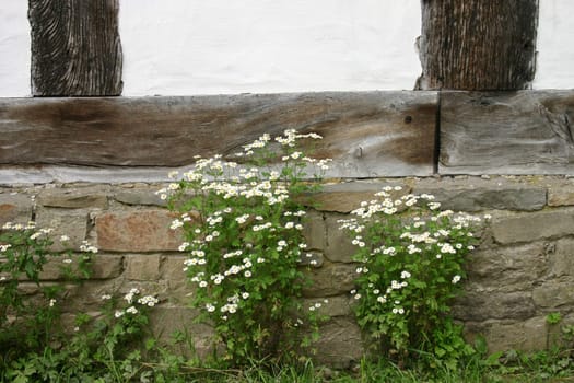 Sheltered place