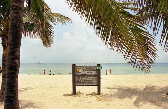 ... in Fort Lauderdale,Miami