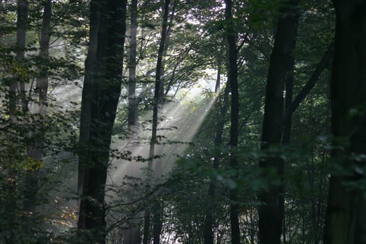 And there was light...