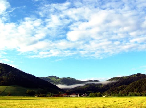 Morgenhauch im Schwarzwald 2005