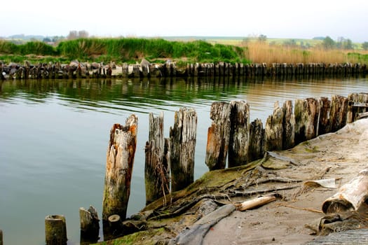 Canal at the harbor