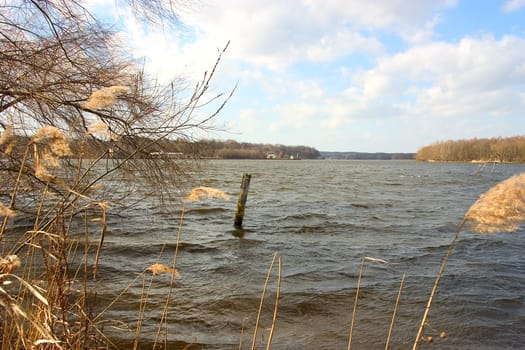 Lakeside