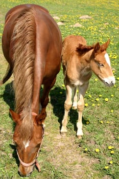 Mother and Child