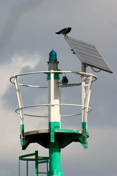 Green bin
