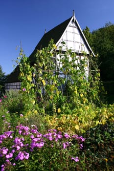 Cottage garden