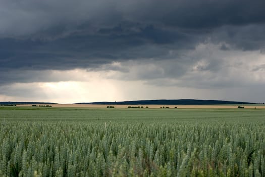 Thunderstorm Landscape 03