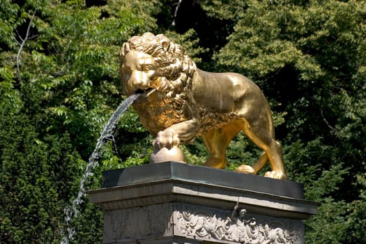 Golden Lion 02