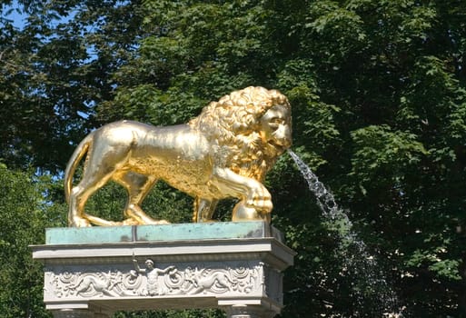 Golden Lion 01