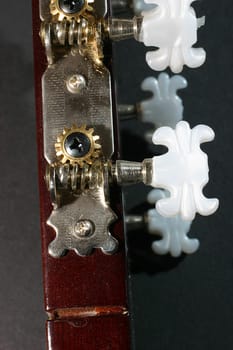Guitar pegs
