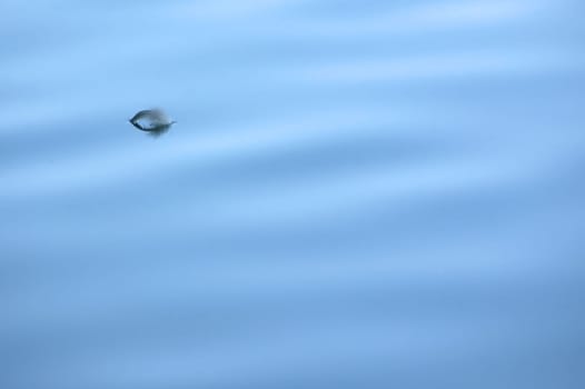 The picture is almost unedited: Blue photo filter and I have reduced the section a bit. I hope you like it :o)
