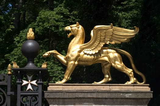 Golden Dragon 02