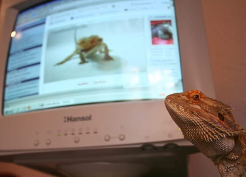 He has discovered...