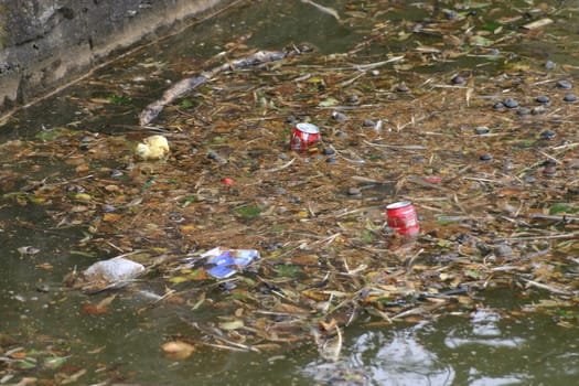 Water pollution