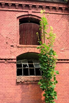 Window breakage