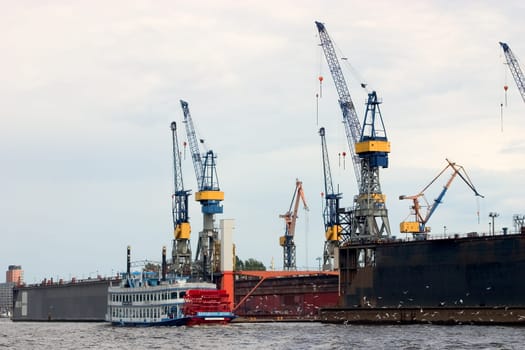 Cranes 01