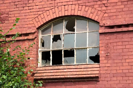 Window
