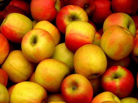 These apples laughed at me and shouted,come take a picture of us  -)